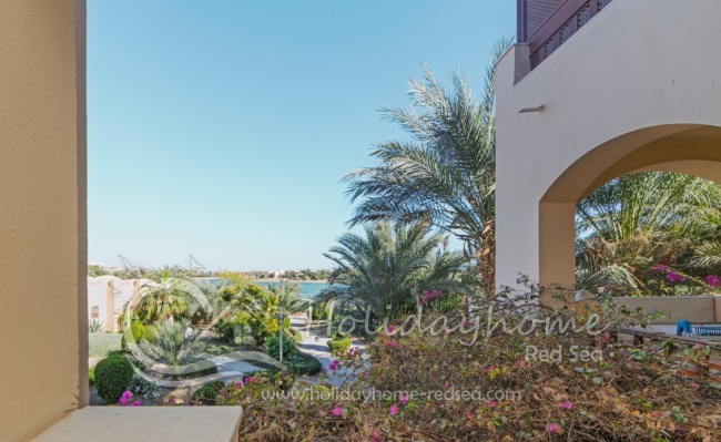 Garden and Palm trees